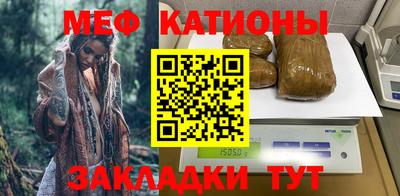 индика Ставрополь