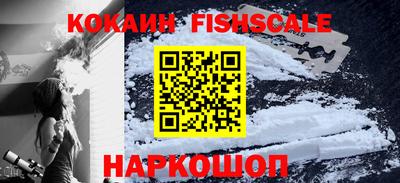 индика Ставрополь