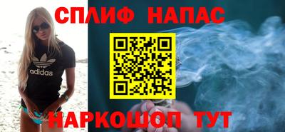 индика Ставрополь