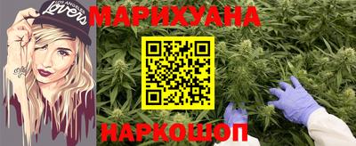 индика Ставрополь
