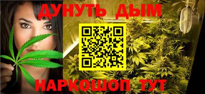 индика Ставрополь