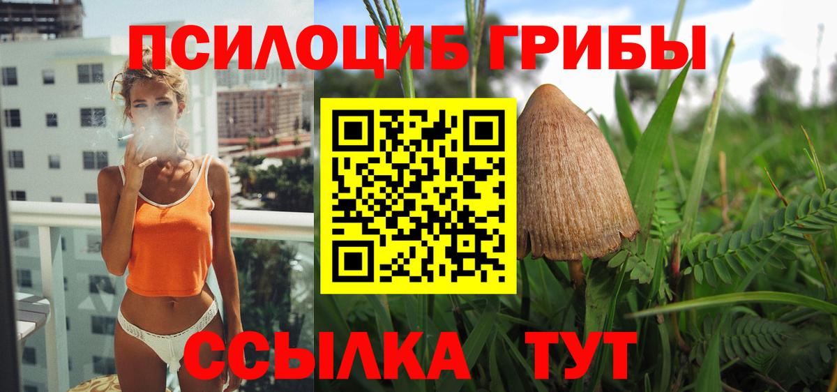 Галлюциногенные грибы прущие грибы  Вход с VPN  Псилоцибиновые грибы мухоморы  Орёл 