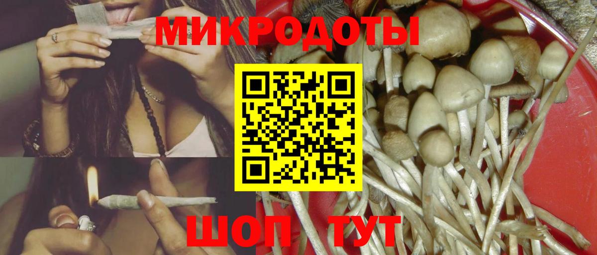 Псилоцибиновые грибы Cubensis Орёл